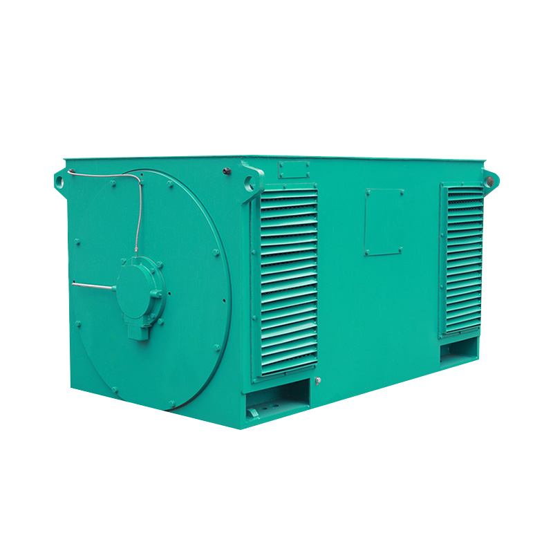 Y Series High-Voltage Three Phase Induction Motor (H:355-1000mm)