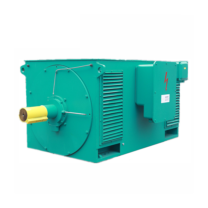 Y Series High-Voltage Three Phase Induction Motor (H:355-1000mm)