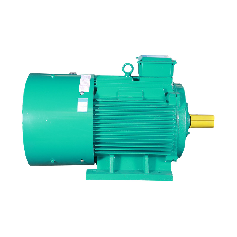 YPT Series Three Phase Induction Motor(H80-355MM)