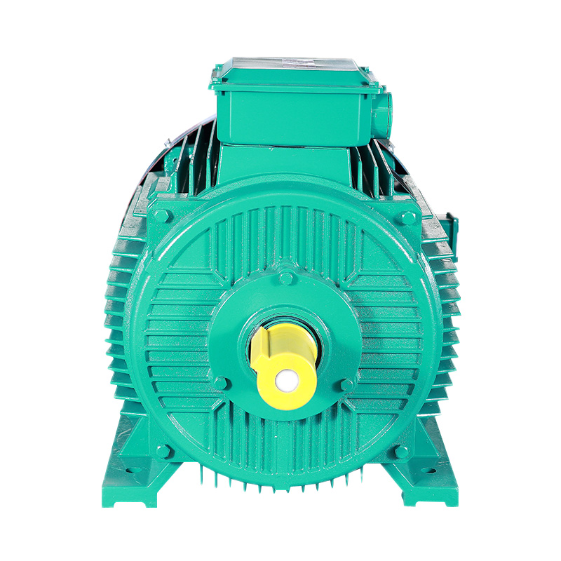 YPT Series Three Phase Induction Motor(H80-355MM)