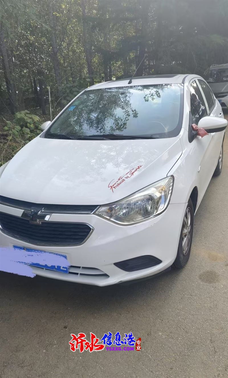 個(gè)人一手車，16年12月賽歐3